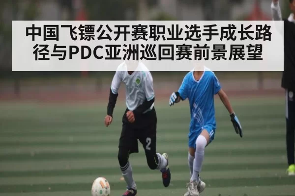 中国飞镖公开赛职业选手成长路径与PDC亚洲巡回赛前景展望